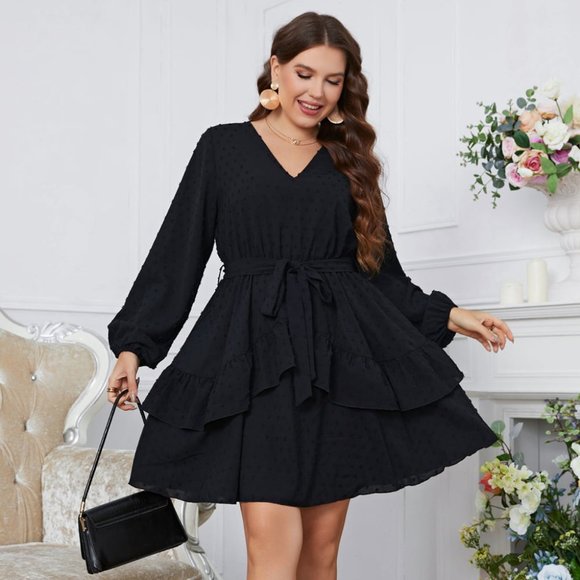 Melo Apparel Plus Size Swiss Dot Tie Waist V-Neck Dress - Picture 2 of 10